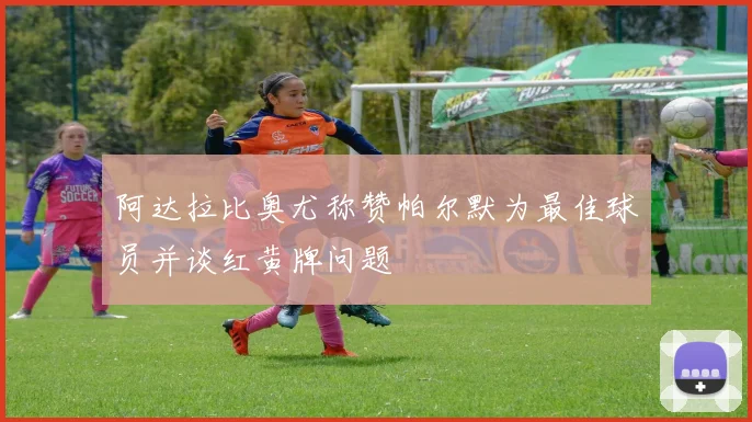 阿达拉比奥尤称赞帕尔默为最佳球员并谈红黄牌问题