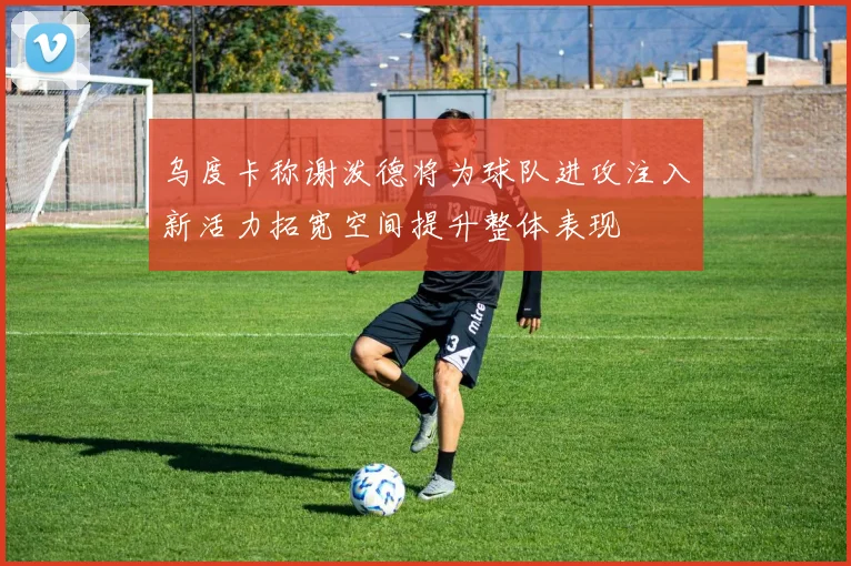 乌度卡称谢泼德将为球队进攻注入新活力拓宽空间提升整体表现